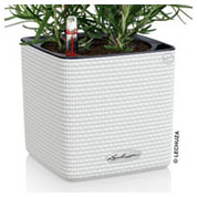 CUBE Color 14 cm - White - LECHUZA